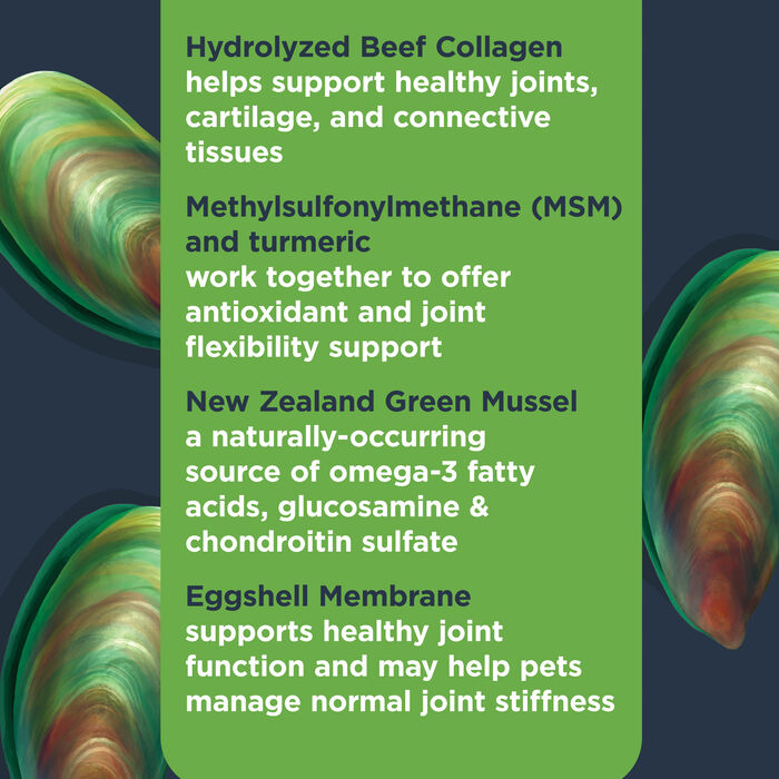 62913 product detail number 1.0