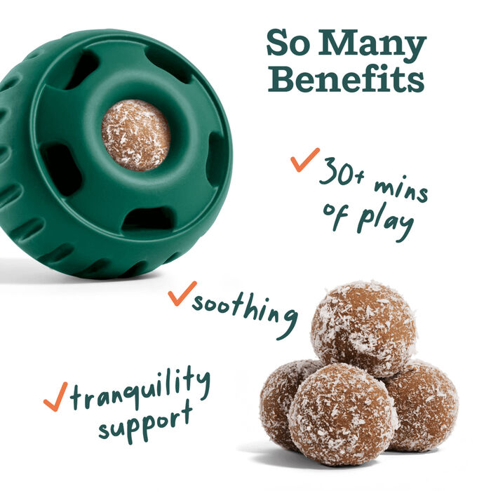 14396 product detail number 1.0