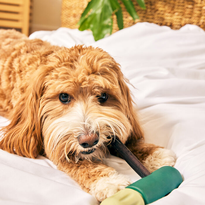 14408 product detail number 1.0