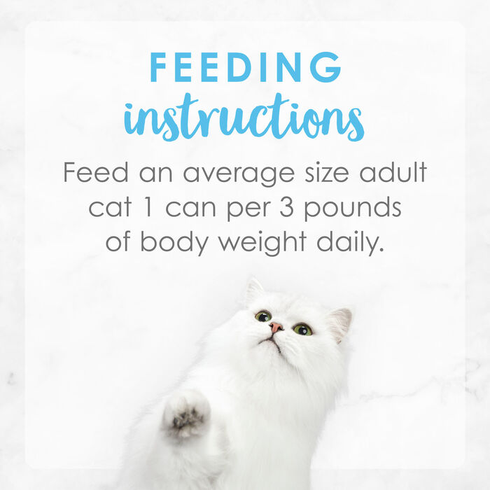 66446 product detail number 1.0