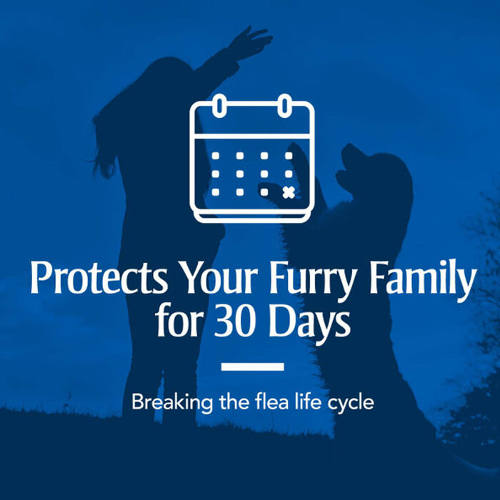 12895 product detail number 1.0