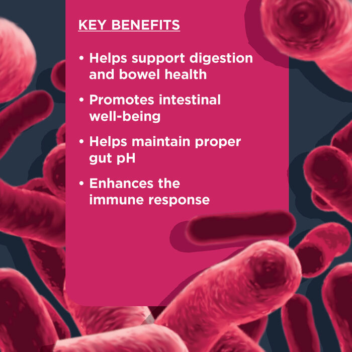 62912 product detail number 1.0