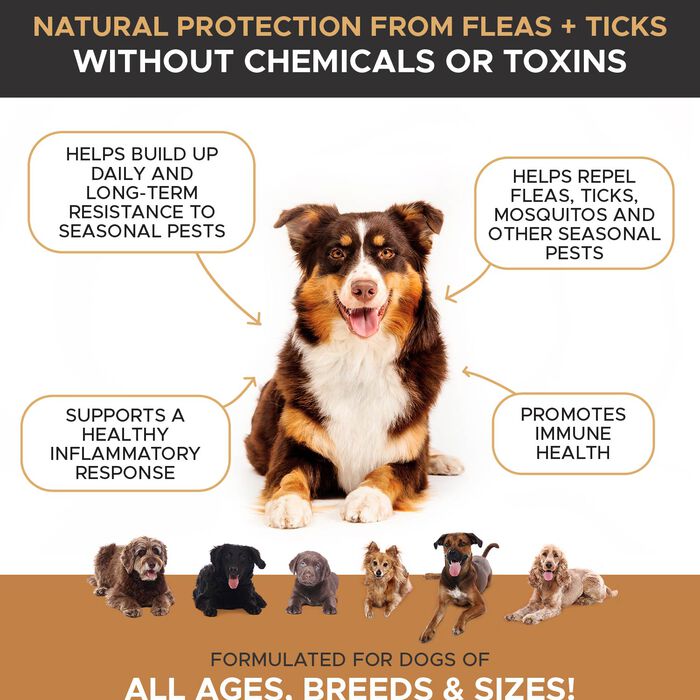 13008 product detail number 1.0