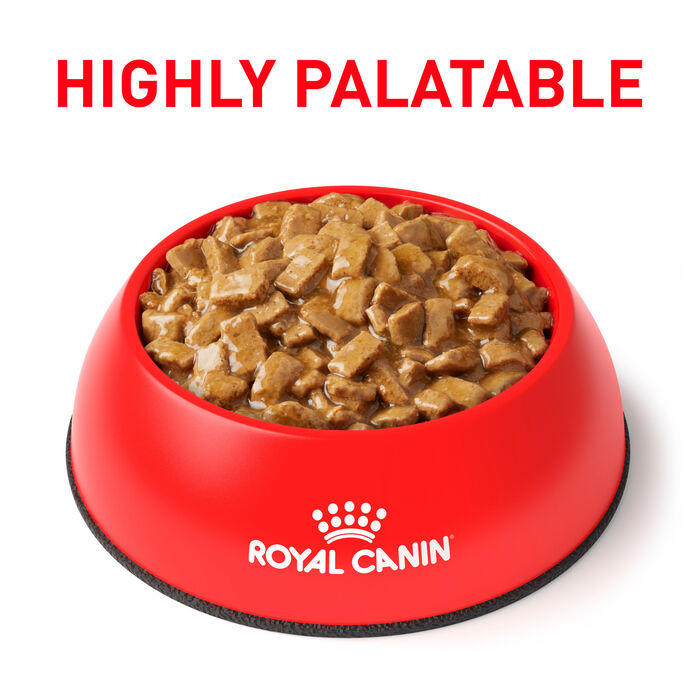 67614 product detail number 1.0