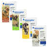 Bundle: Alzoo Plant-Based Collar + Shampoo - Flea & Tick Prevention Bundle for Dogs & Cats