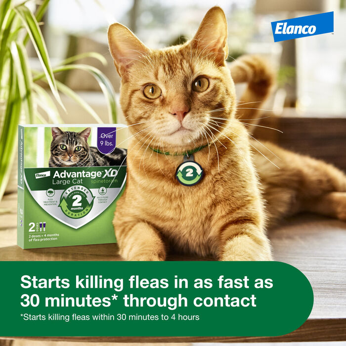 13030 product detail number 1.0