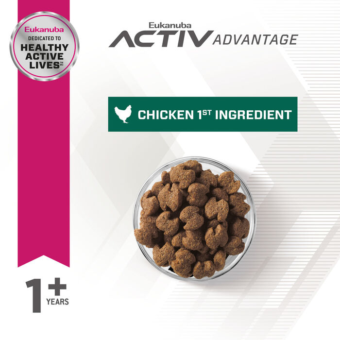 61846 product detail number 1.0