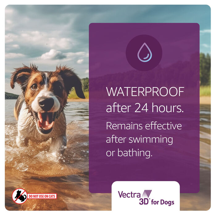 11884 product detail number 1.0