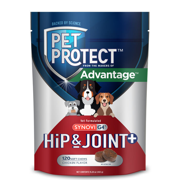 Pet Protect Synovi G4 Hip & Joint Supplement Soft Chews for Dogs 120 ct Pet Protect Synovi G4 Hip & Joint Supplement Soft Chews for Dogs 120 ct product detail number 1.0