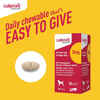 Bundle: Galliprant + Greenies - Joint Health Bundle for Dogs