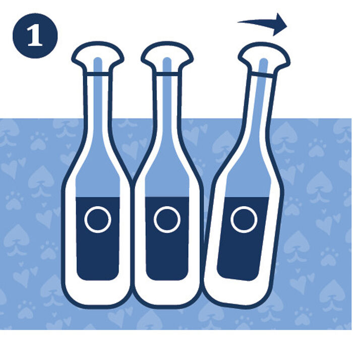 12895 product detail number 1.0