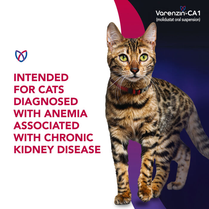 14464 product detail number 1.0