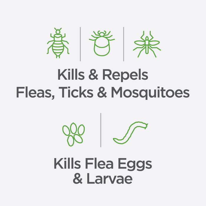 14443 product detail number 1.0