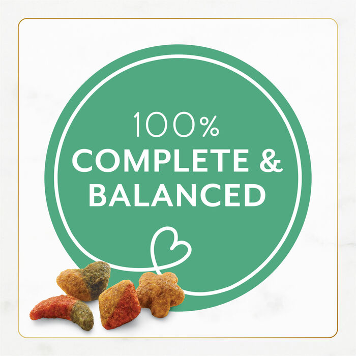 66464 product detail number 1.0