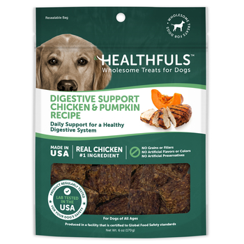 Healthfuls Digestive Support Chicken & Pumpkin Recipe Dog Treats - 6 oz Bag-product-tile
