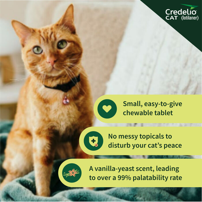 12830 product detail number 1.0