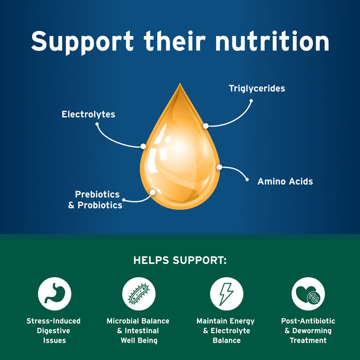 11870 product detail number 1.0