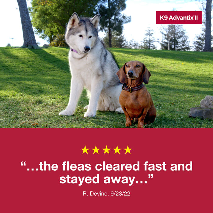 12239 product detail number 1.0