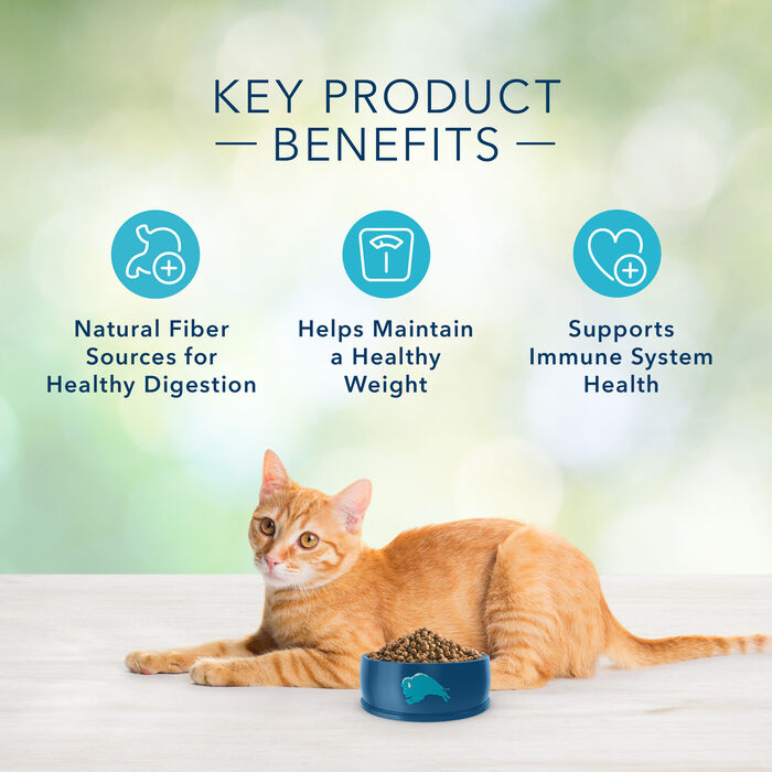 63964 product detail number 1.0