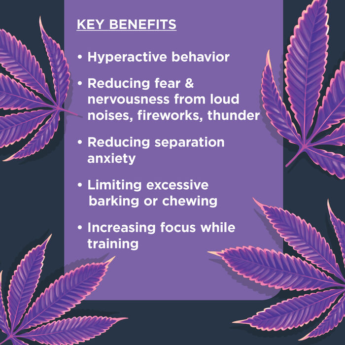 62910 product detail number 1.0