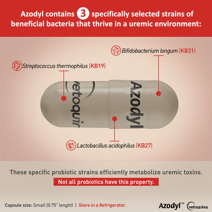 11287 product detail number 1.0