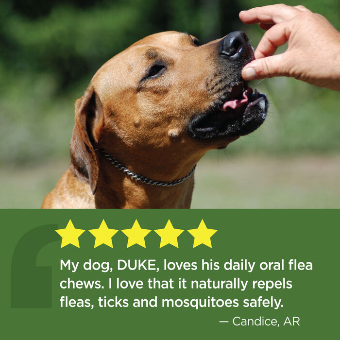 14434 product detail number 1.0