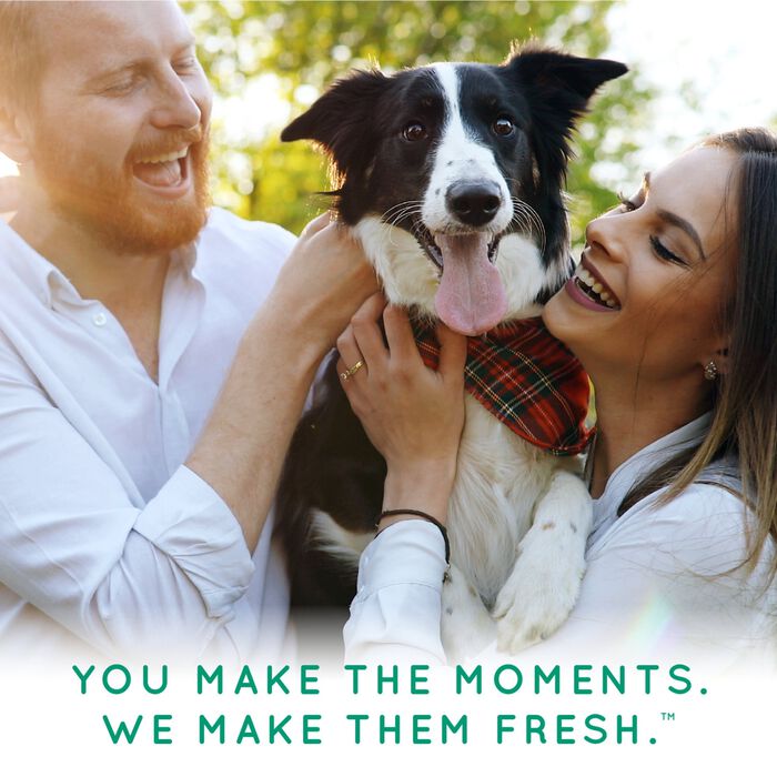 62666 product detail number 1.0