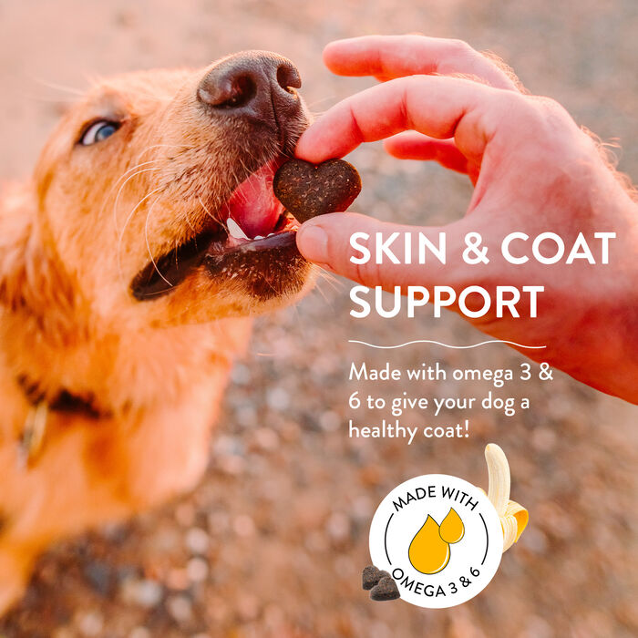 14244 product detail number 1.0