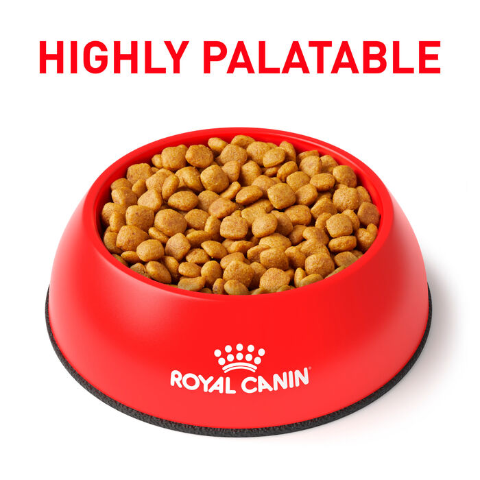 67675 product detail number 1.0