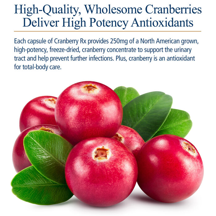 12921 product detail number 1.0