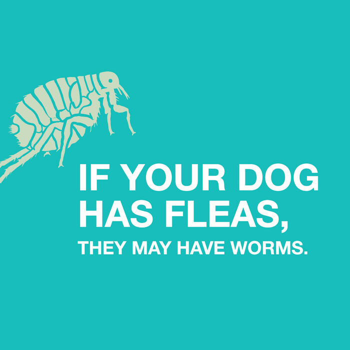 11773 product detail number 1.0