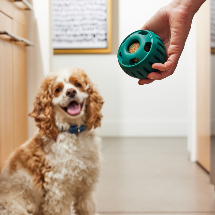 14399 product detail number 1.0