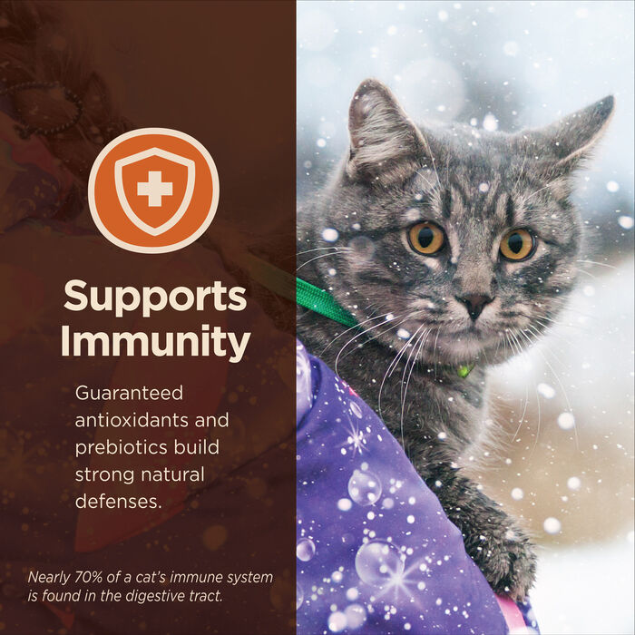 63623 product detail number 1.0