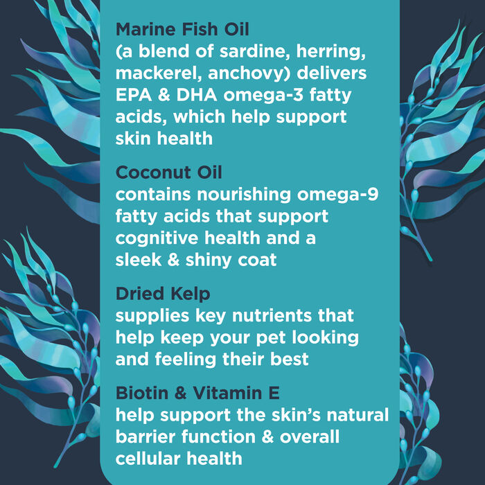 62914 product detail number 1.0