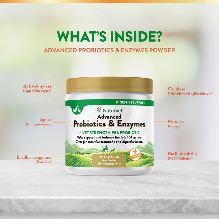 62997 product detail number 1.0