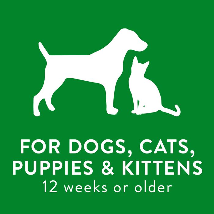 62668 product detail number 1.0