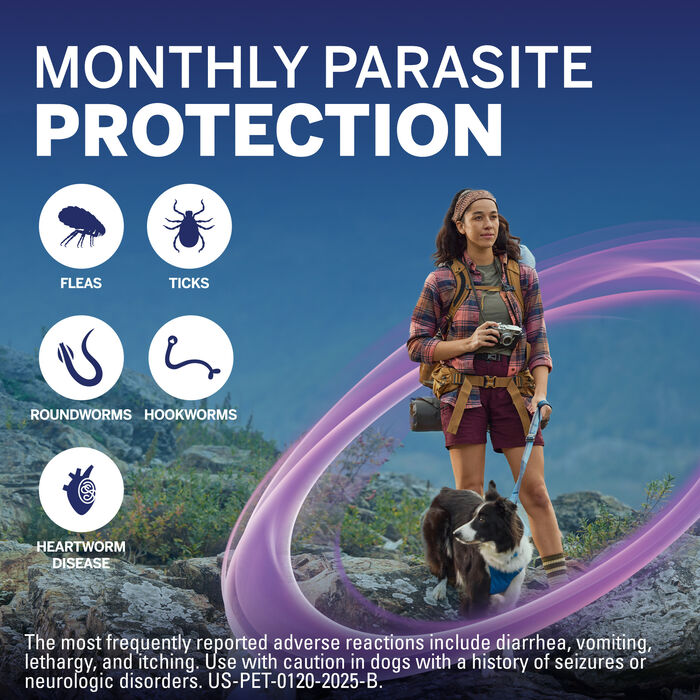 13351 13351 product detail number 1.0