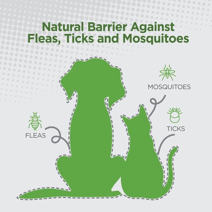 14434 product detail number 1.0