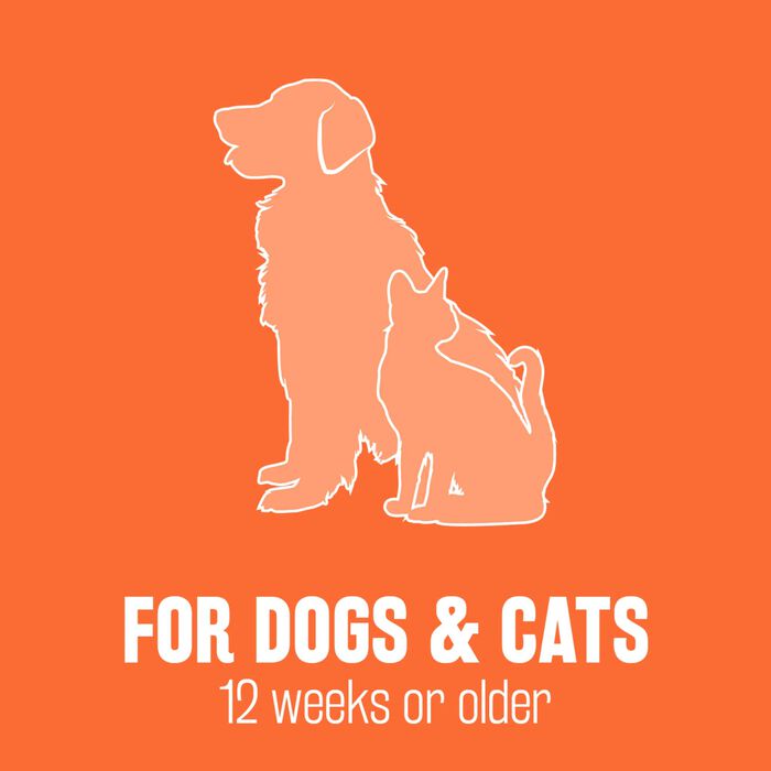 62684 product detail number 1.0