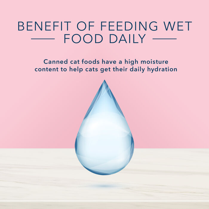 66832 product detail number 1.0