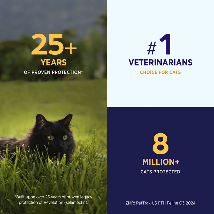 12075 product detail number 1.0