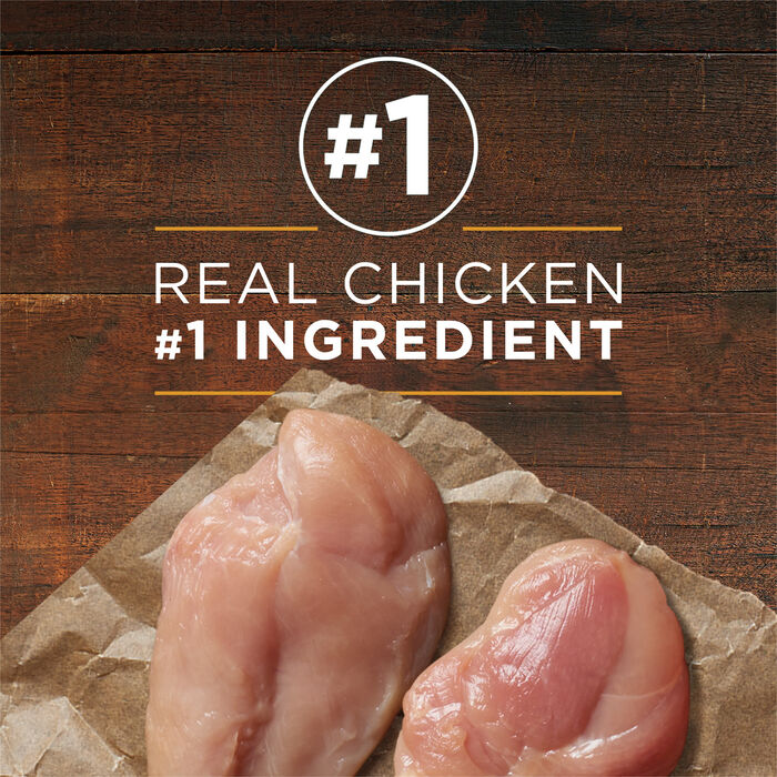 66397 product detail number 1.0