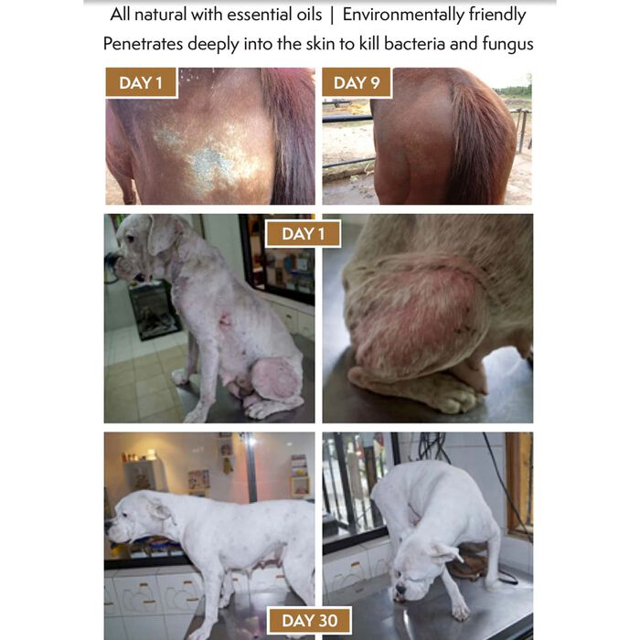 14072 product detail number 1.0