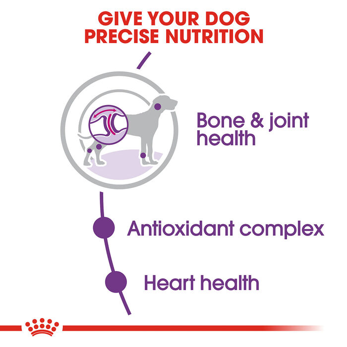 67804 product detail number 1.0