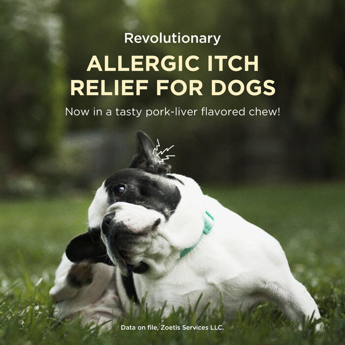 13392 product detail number 1.0