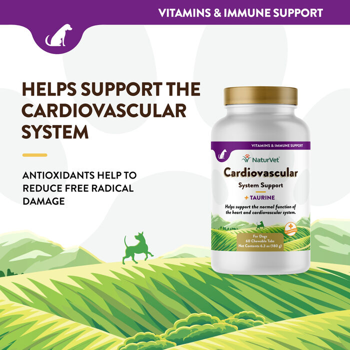 62999 product detail number 1.0