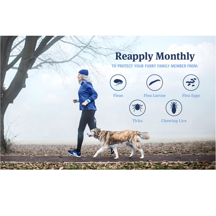 12895 product detail number 1.0