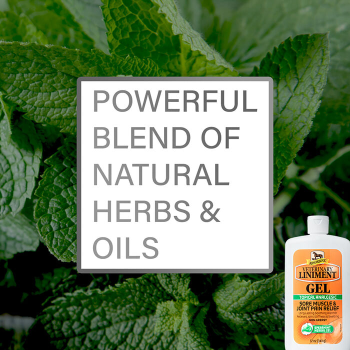 12136 product detail number 1.0