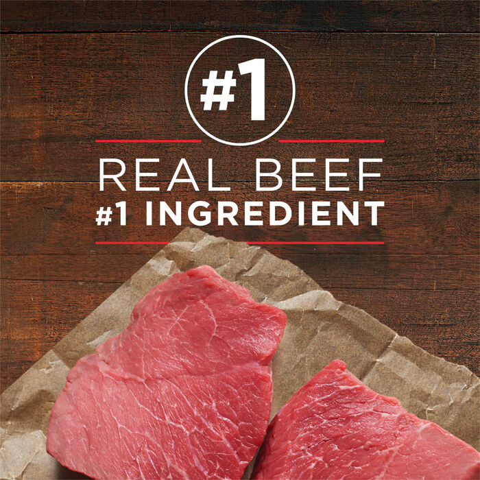 63766 product detail number 1.0