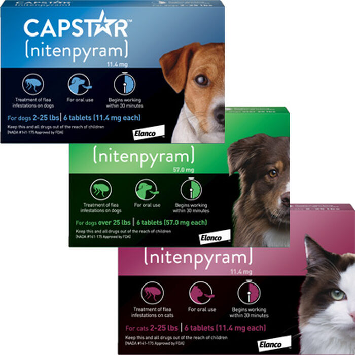 Bundle: Capstar + Flea5X Plus - Flea Treatment Bundle for Dogs product detail number 1.0